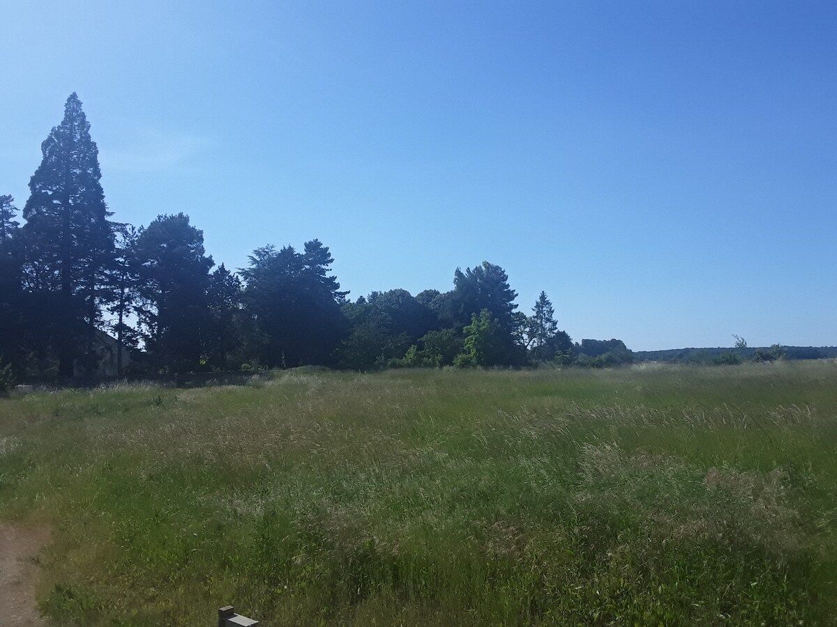 Maison végétale 6 couchages avec vue sur la forêt.