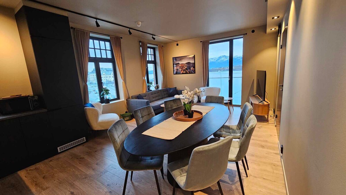 奥勒松（ Aalesund ）现代风格的3间卧室