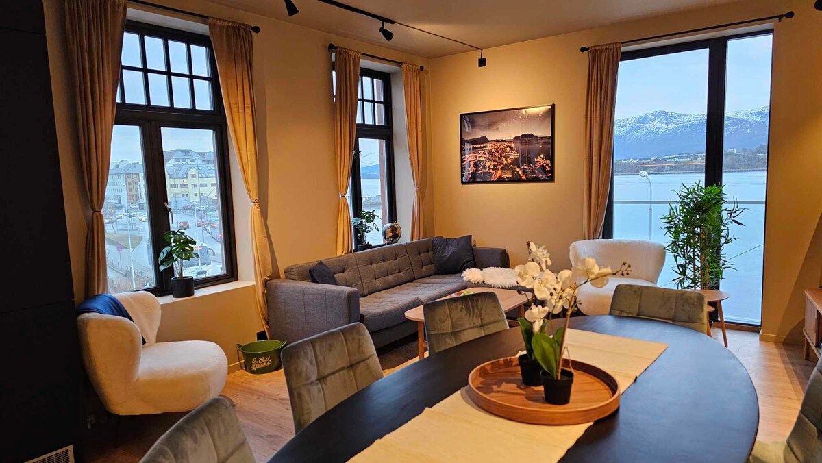 奥勒松（ Aalesund ）现代风格的3间卧室