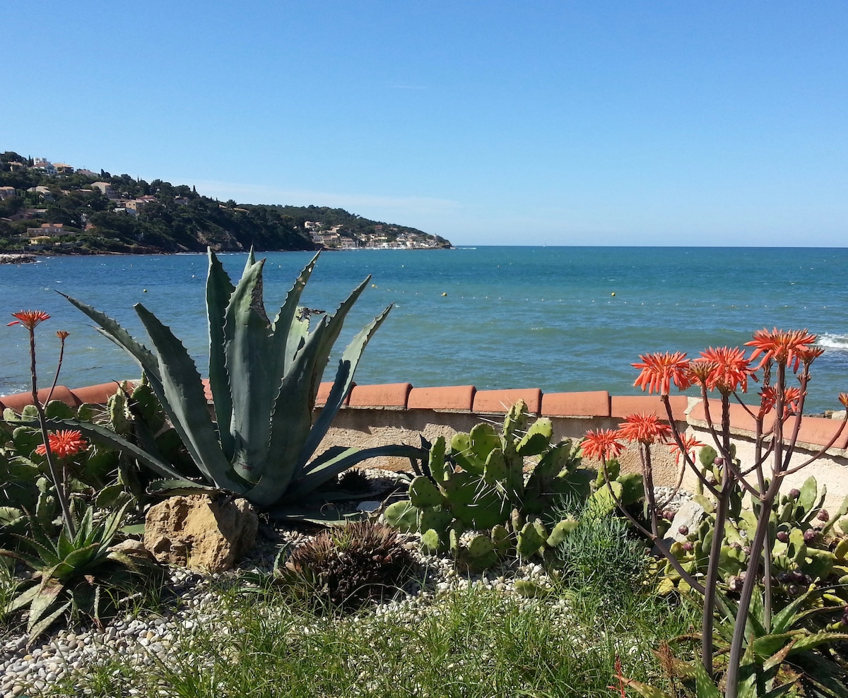 Joli pavillon Pieds dans l’eau - Côte d’Azur - Var