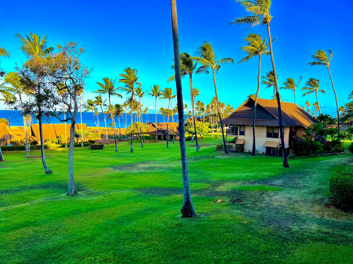 Hawaii Sunset/Ocean View Condo