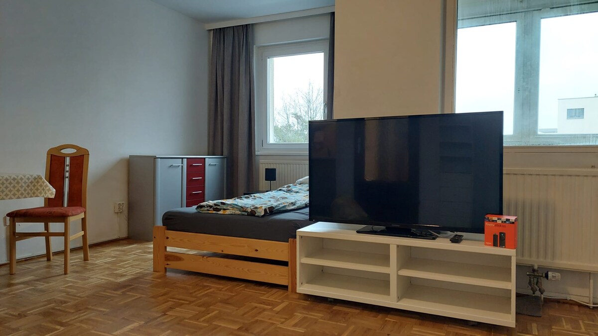 Schönes gemütliches 45 m2-Apartment in Linz - Wels