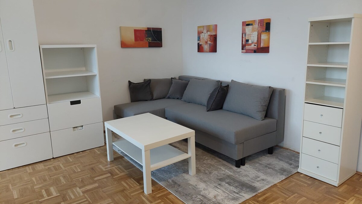 Schönes gemütliches 45 m2-Apartment in Linz - Wels