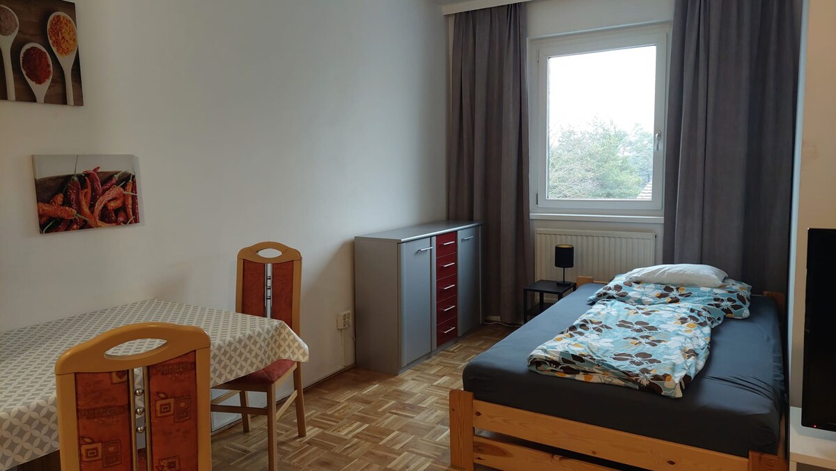 Schönes gemütliches 45 m2-Apartment in Linz - Wels