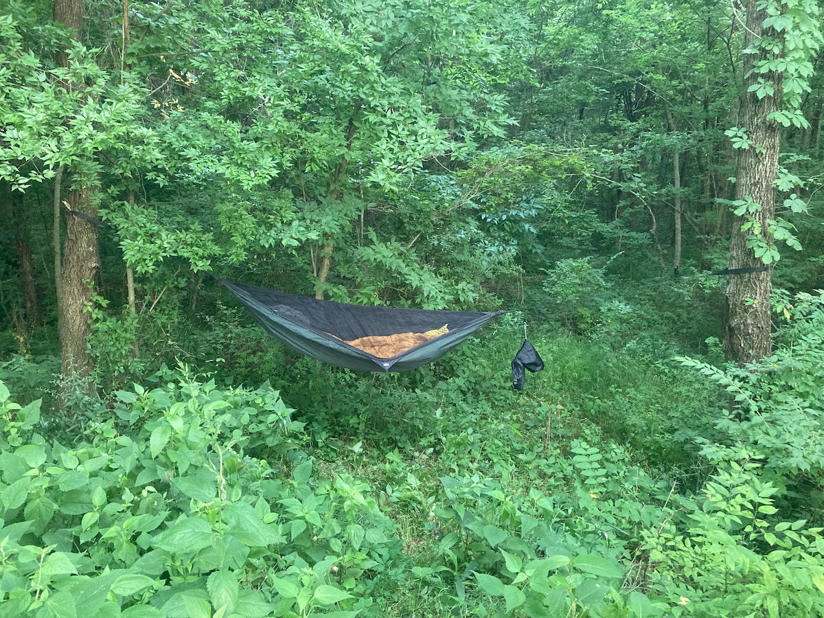 Hammock in Nature