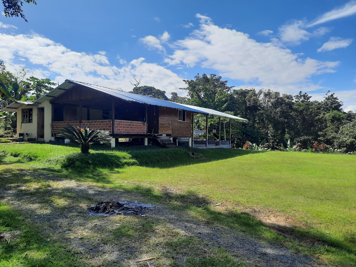 Cabañas del Bosque Monterreal