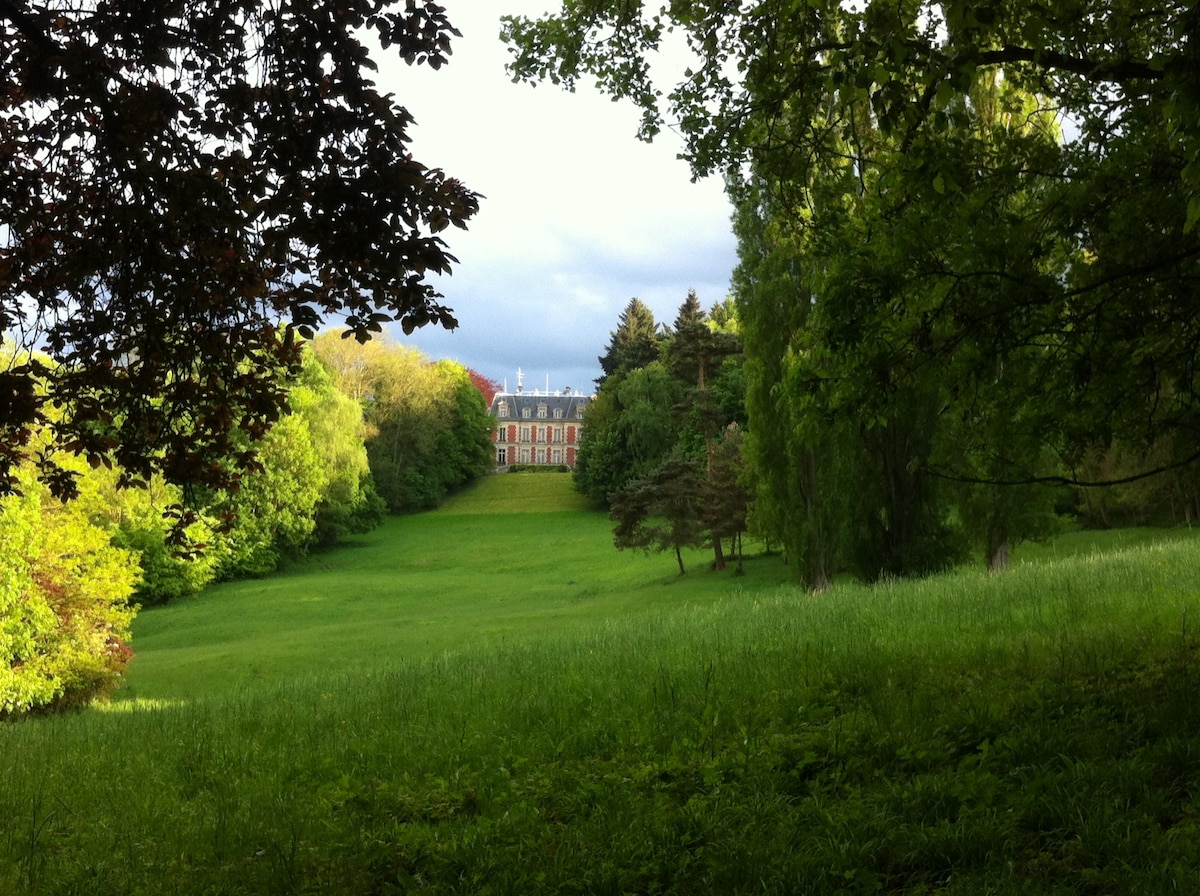 Château de Châtenay - 20间卧室，住宿加早餐