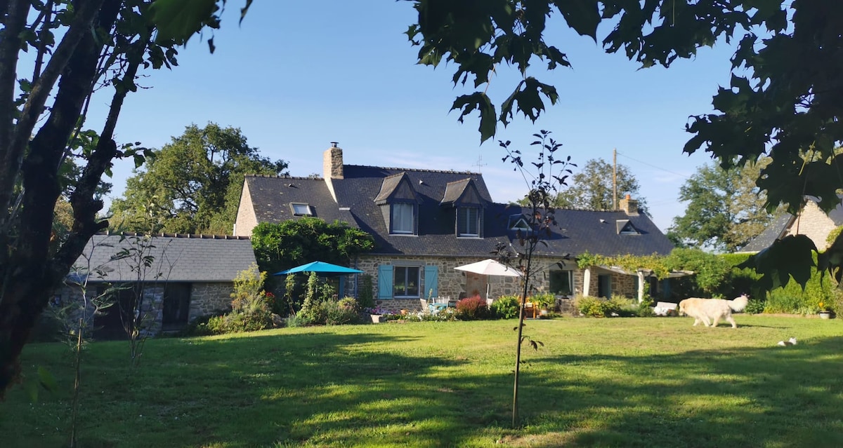 Chambre d'hôte et salon avec petit déjeuner inclus