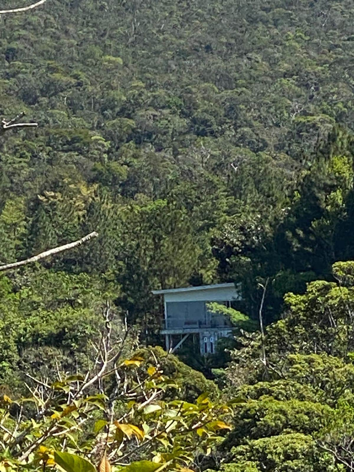 Sueño naturaleza esplendor