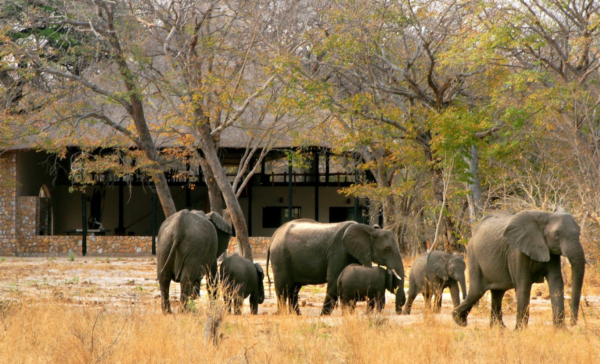 Gwango Elephant Lodge