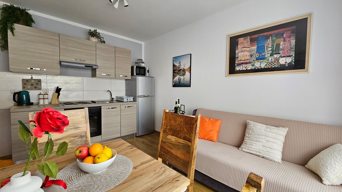 Studio apartman BAJER