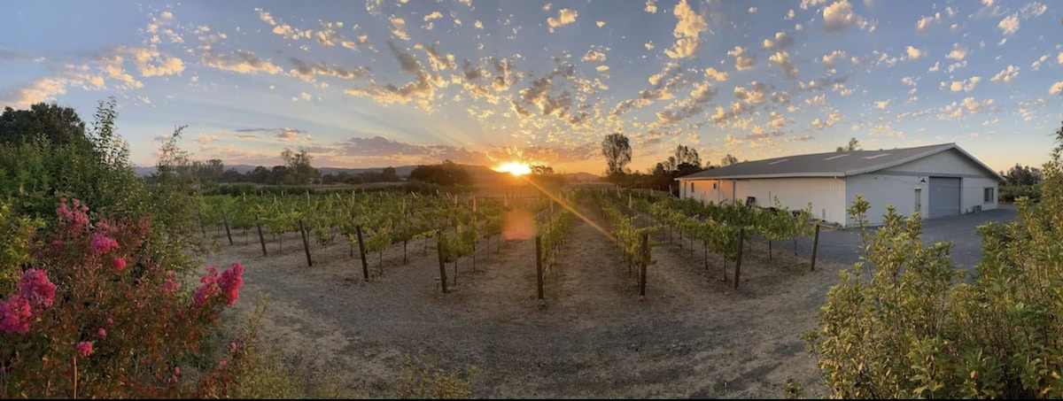 Carneros Vista Ranch in Sonoma