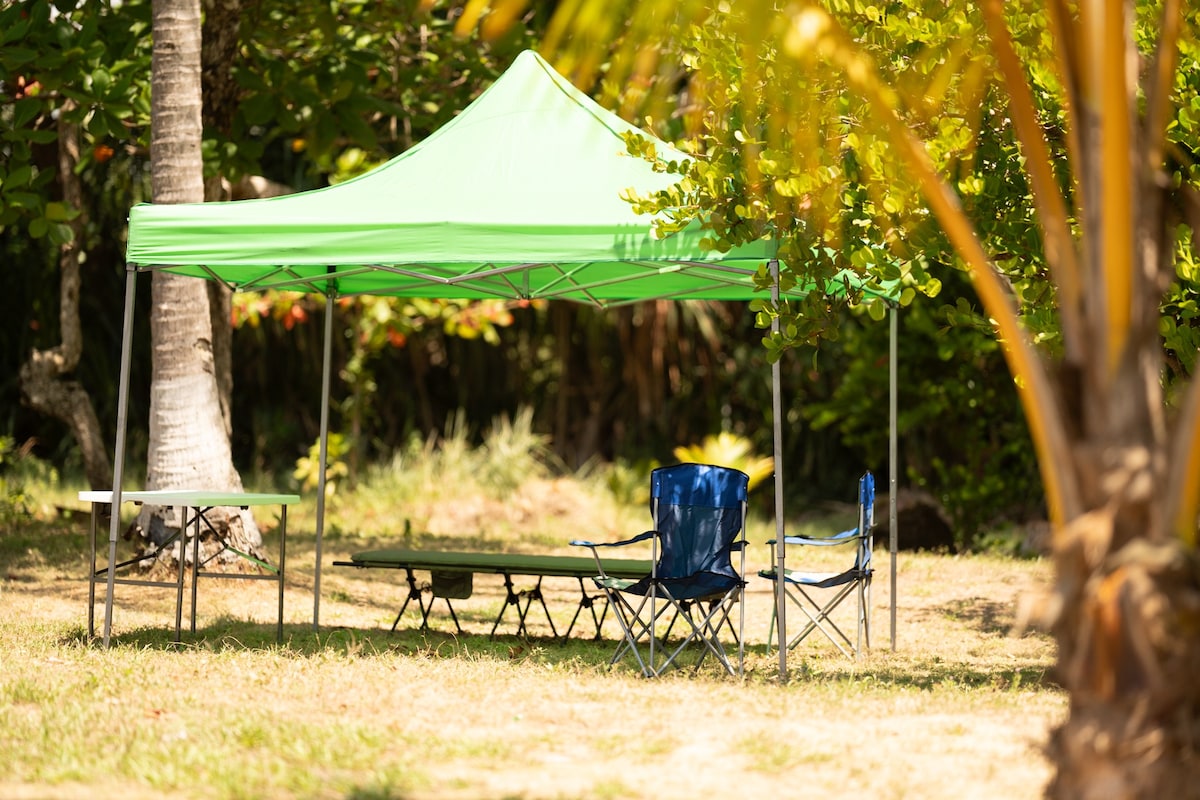 Seaside Serenity: Beach Camping