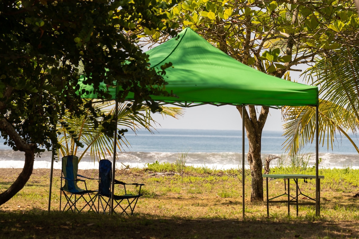 Seaside Serenity: Beach Camping