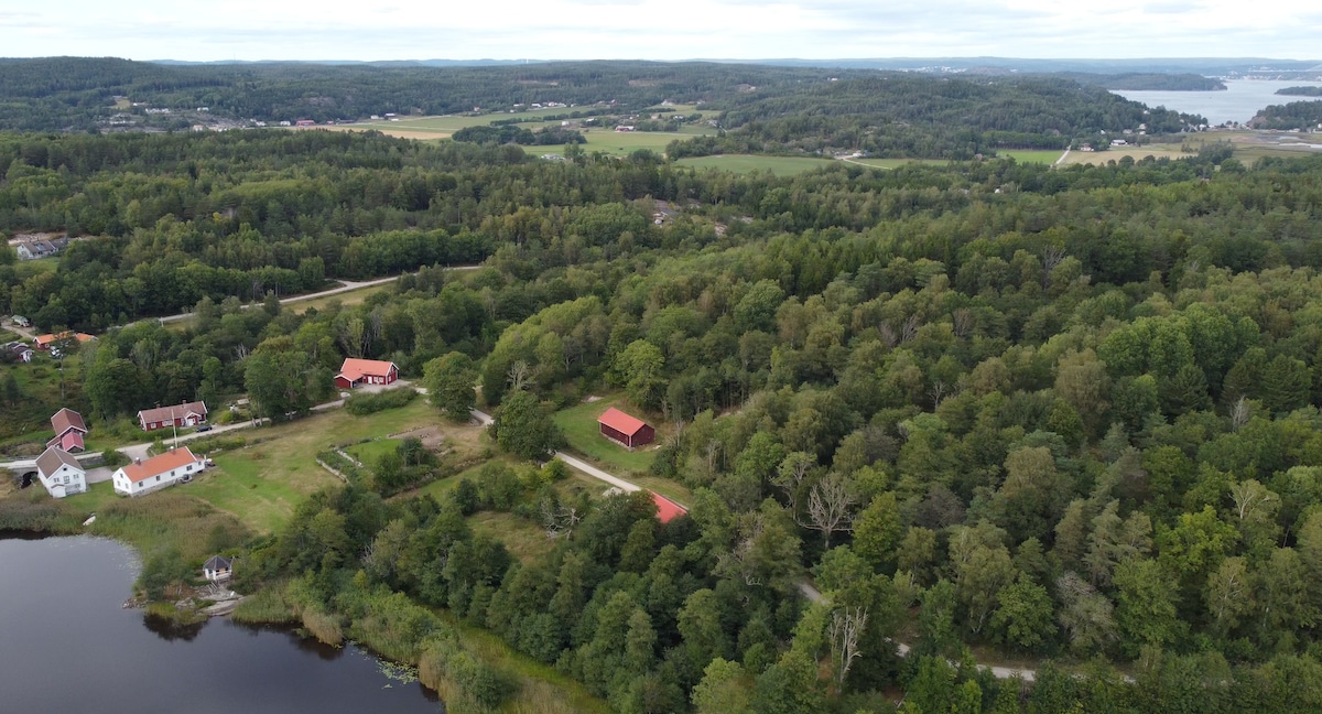 Naturskönt vid sjö nära hav