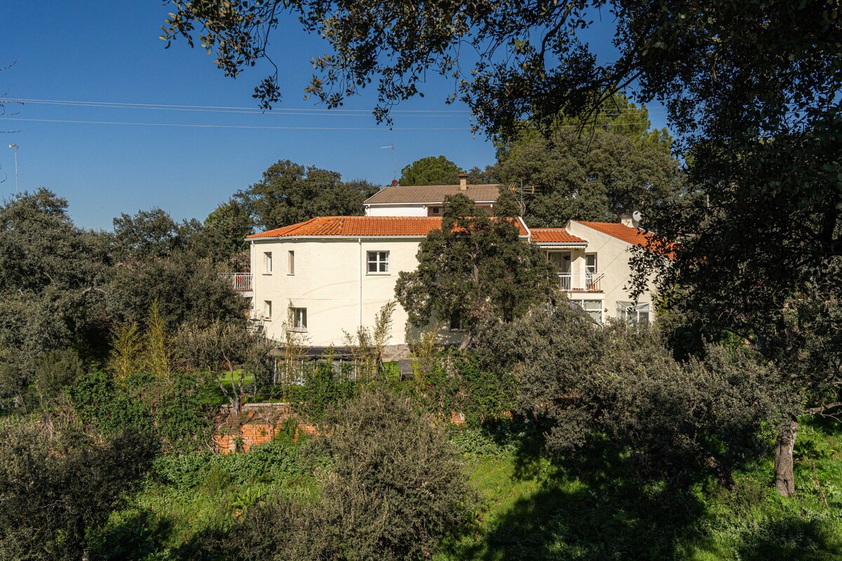 Large house with garden