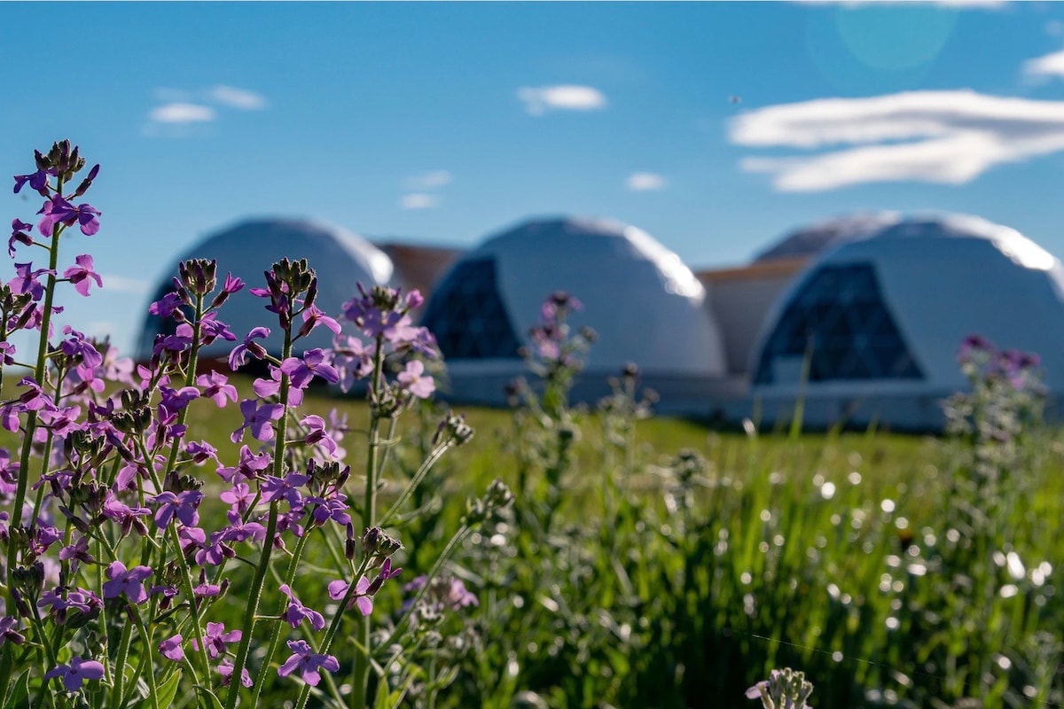 Garden Domes and Cabins