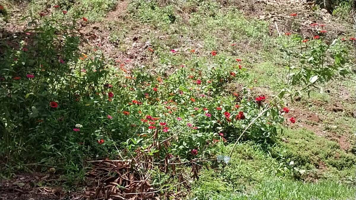 Casita de finca, cerca de todo!