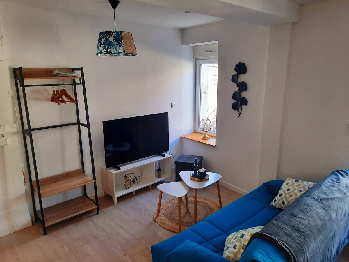 Appartement meublé de tourisme