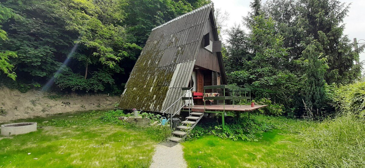 Cabin with lake view