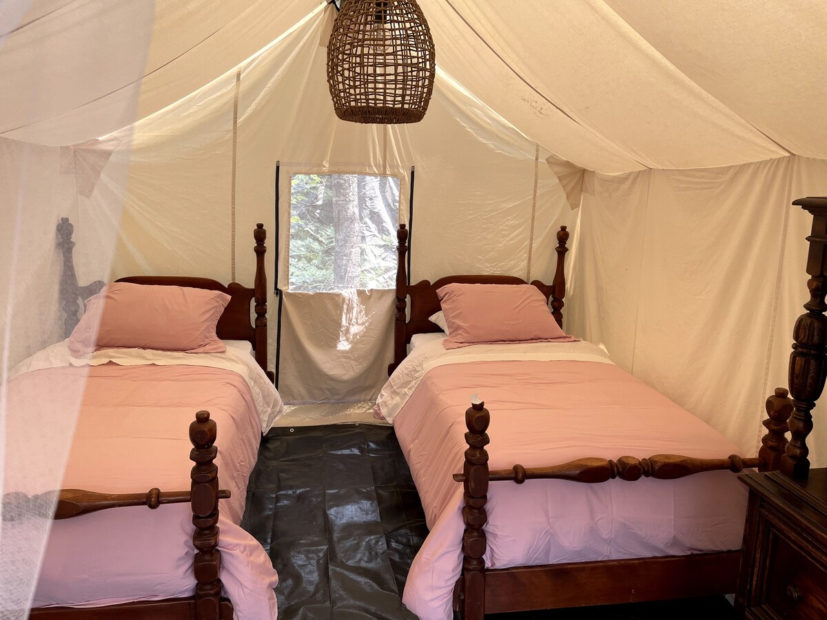 Glamping Tent in the Forest