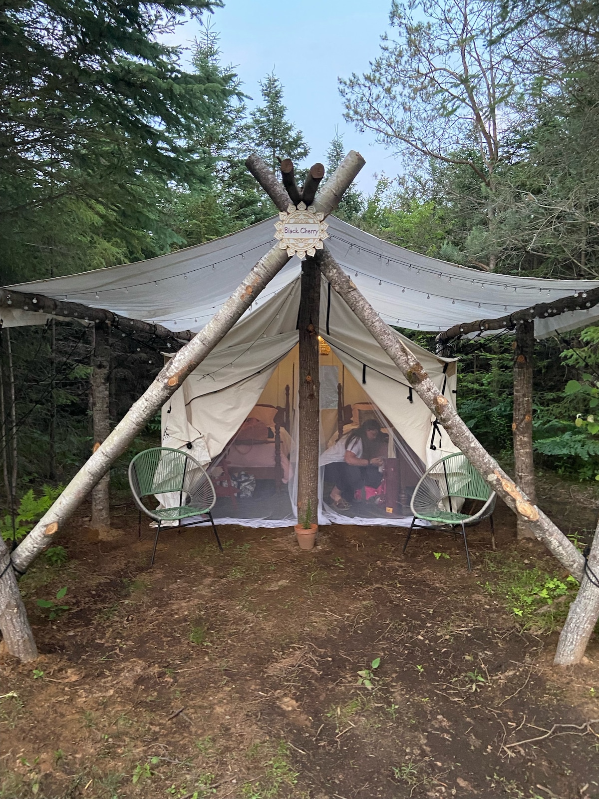 Glamping Tent in the Forest