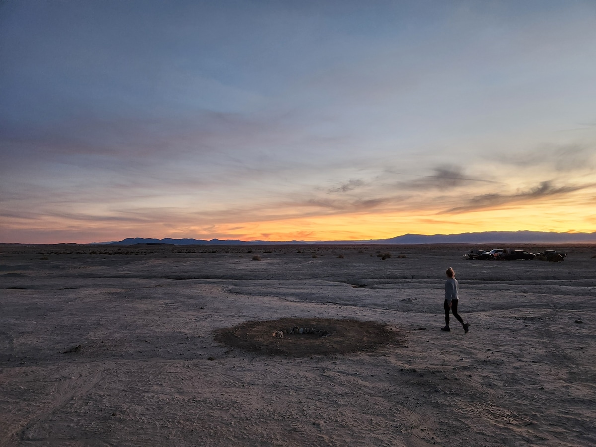 Salton Ocotillo Dunes