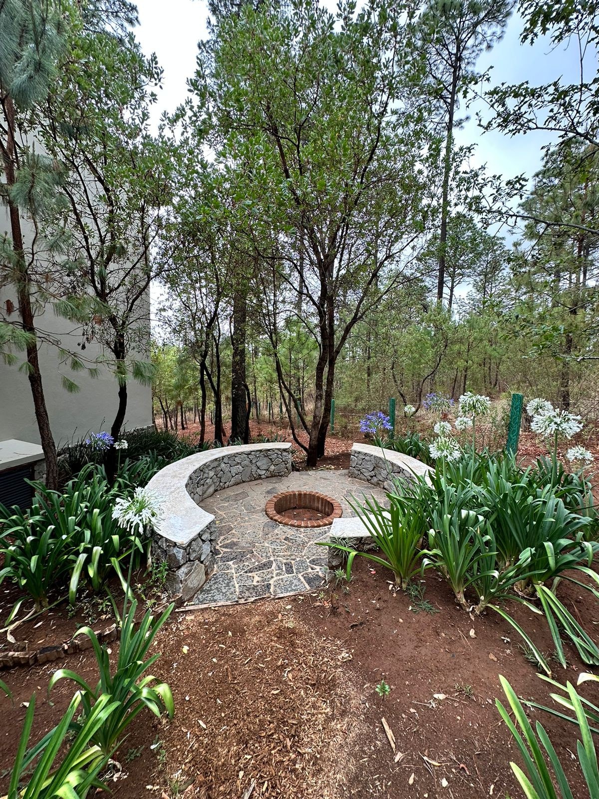 Cabaña de lujo en el corazón del bosque