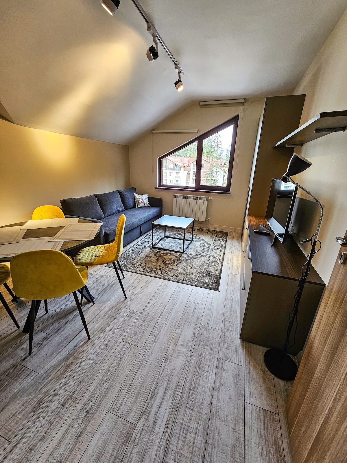 Modern  Borovets apartment  A61