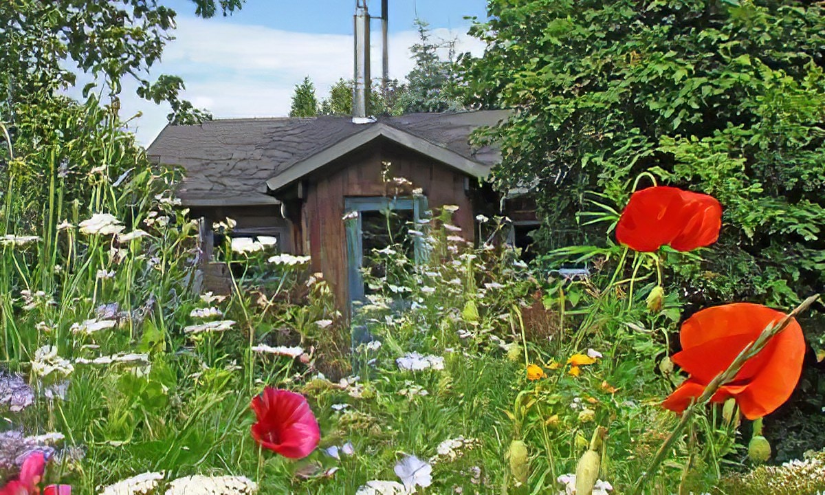 Kleines Holzhaus am See