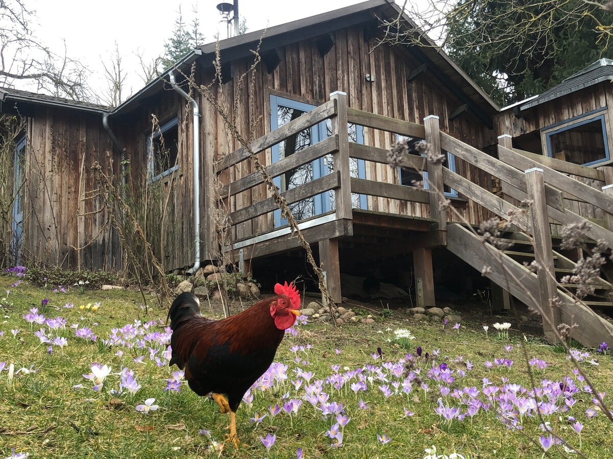 Kleines Holzhaus am See