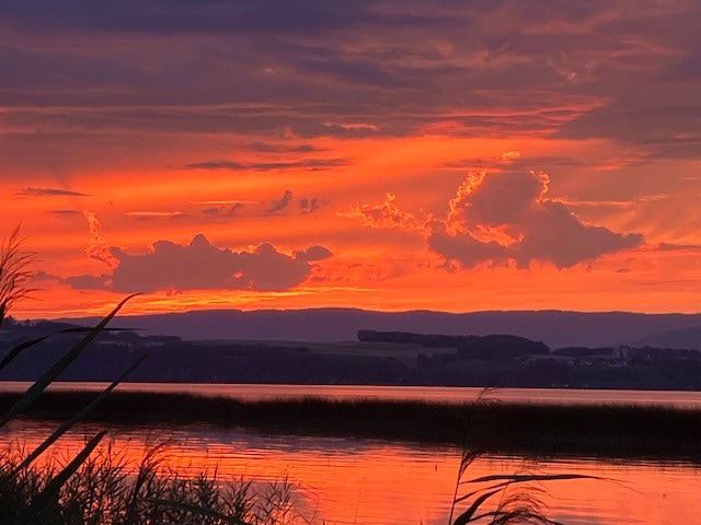 Ferien direkt am Murtensee