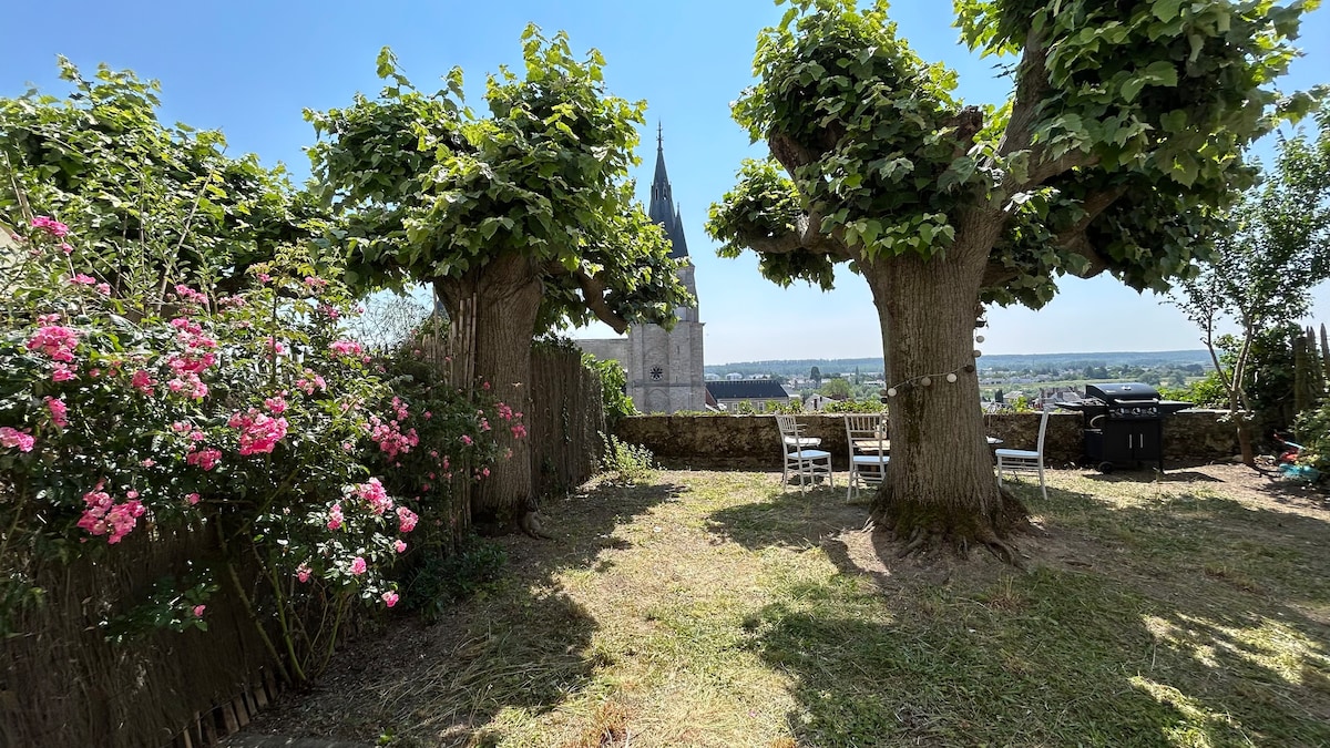 "Des Lys de Loire" appartement avec  jardinet