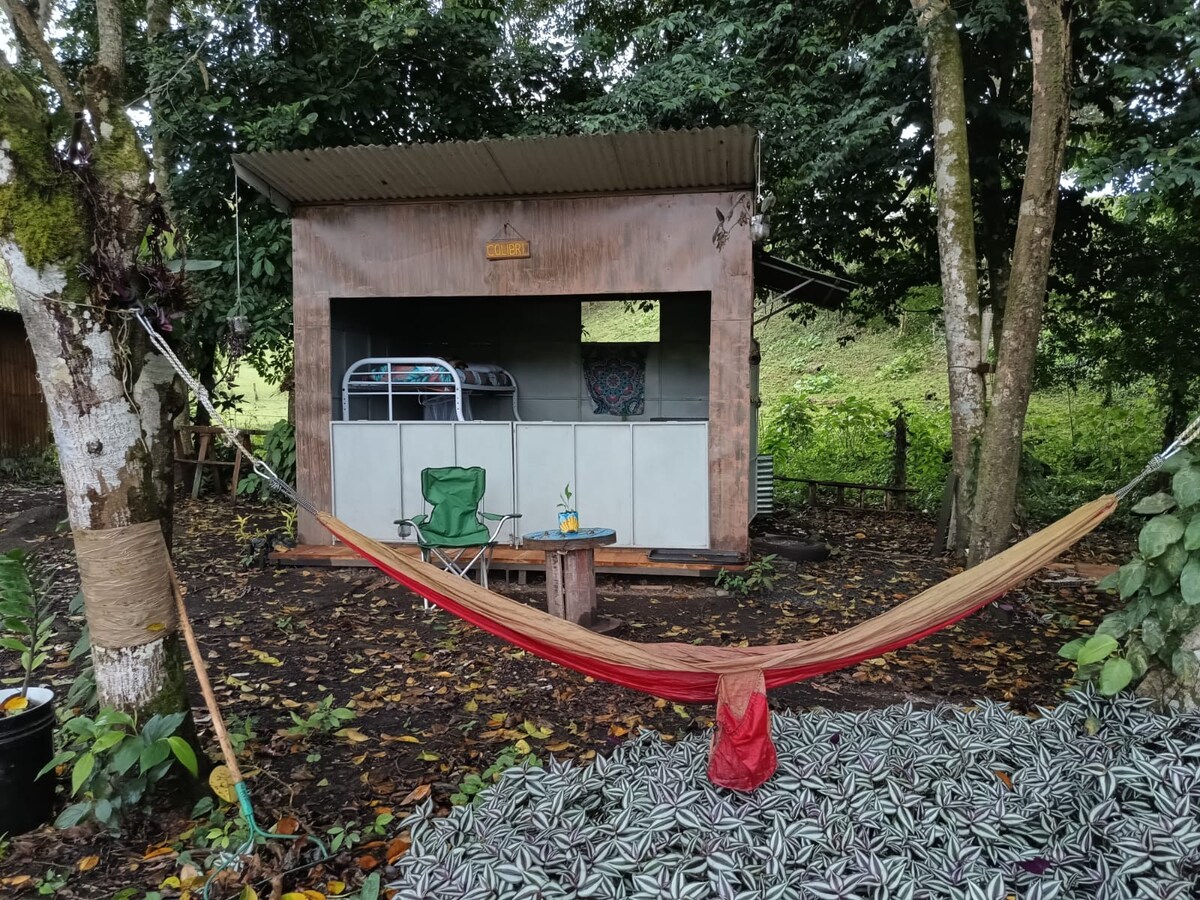 Casa Colibrí bajo los árboles