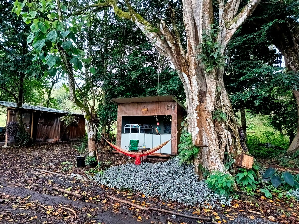 Casa Colibrí bajo los árboles