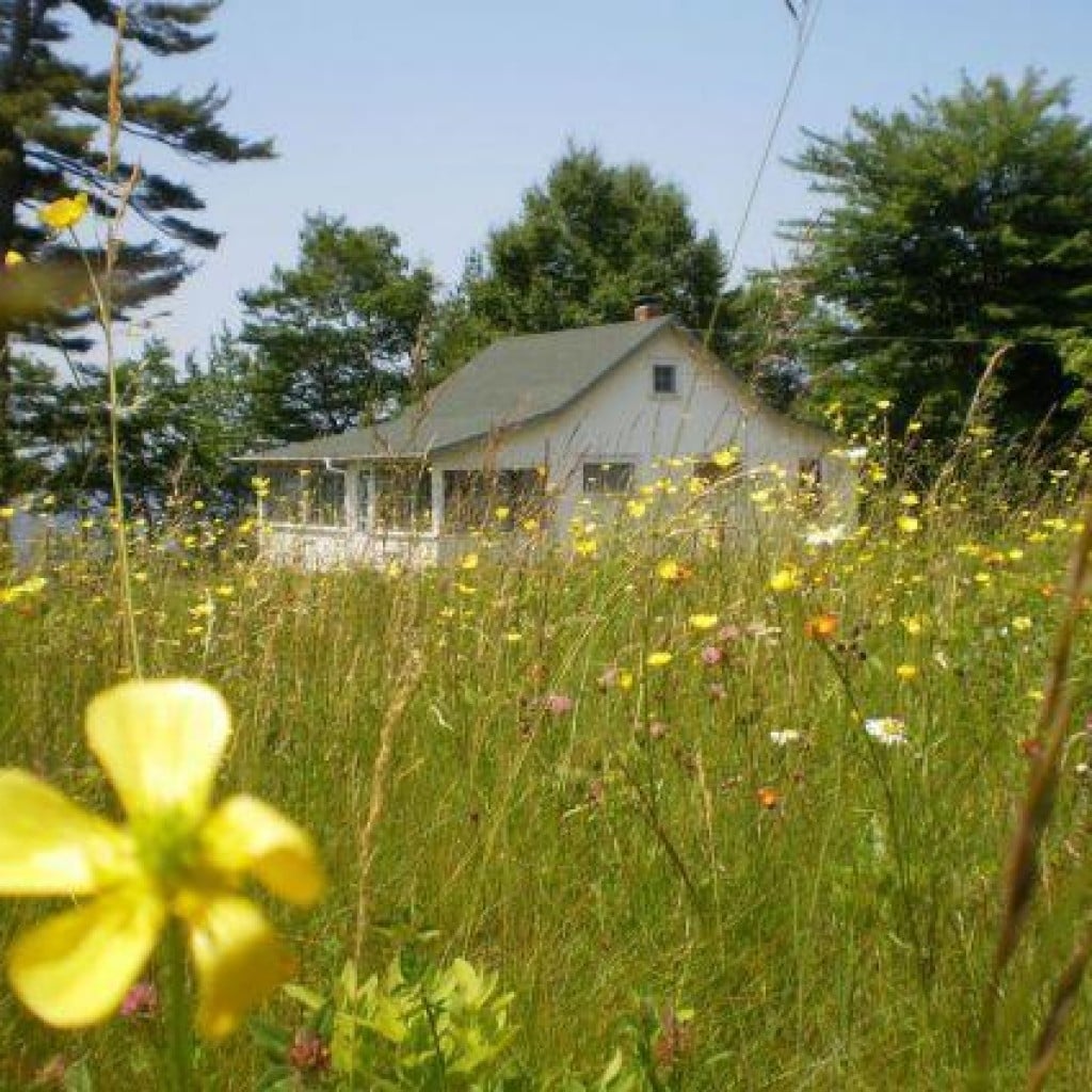 Wildflower Cottage