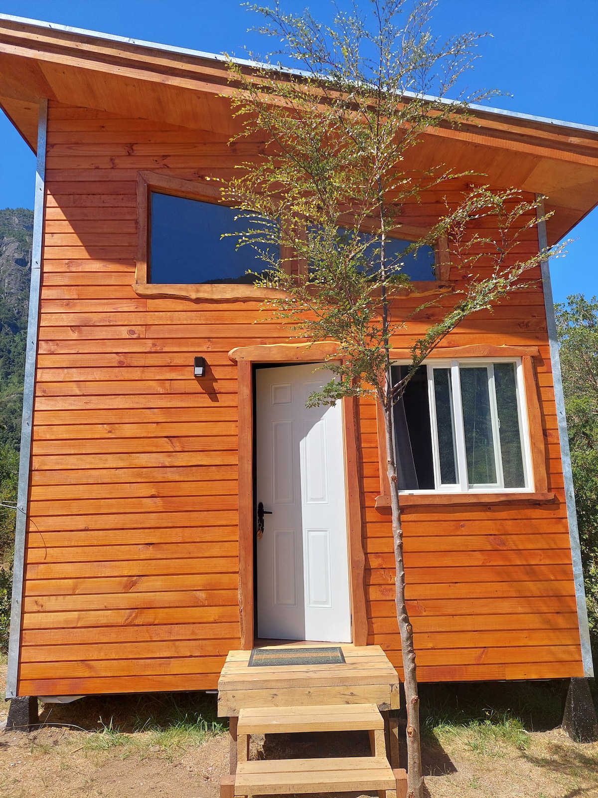 Eco Cabaña en río Calcurrupe, Lago Ranco