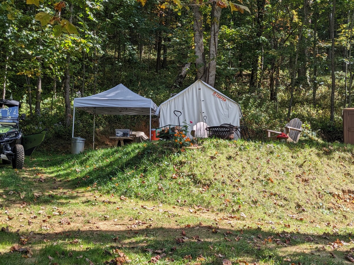 Roan Mountain view Greener Acres