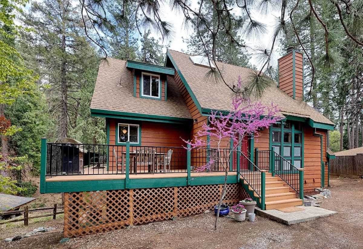 Large Cabin near Rollins Lake & American River