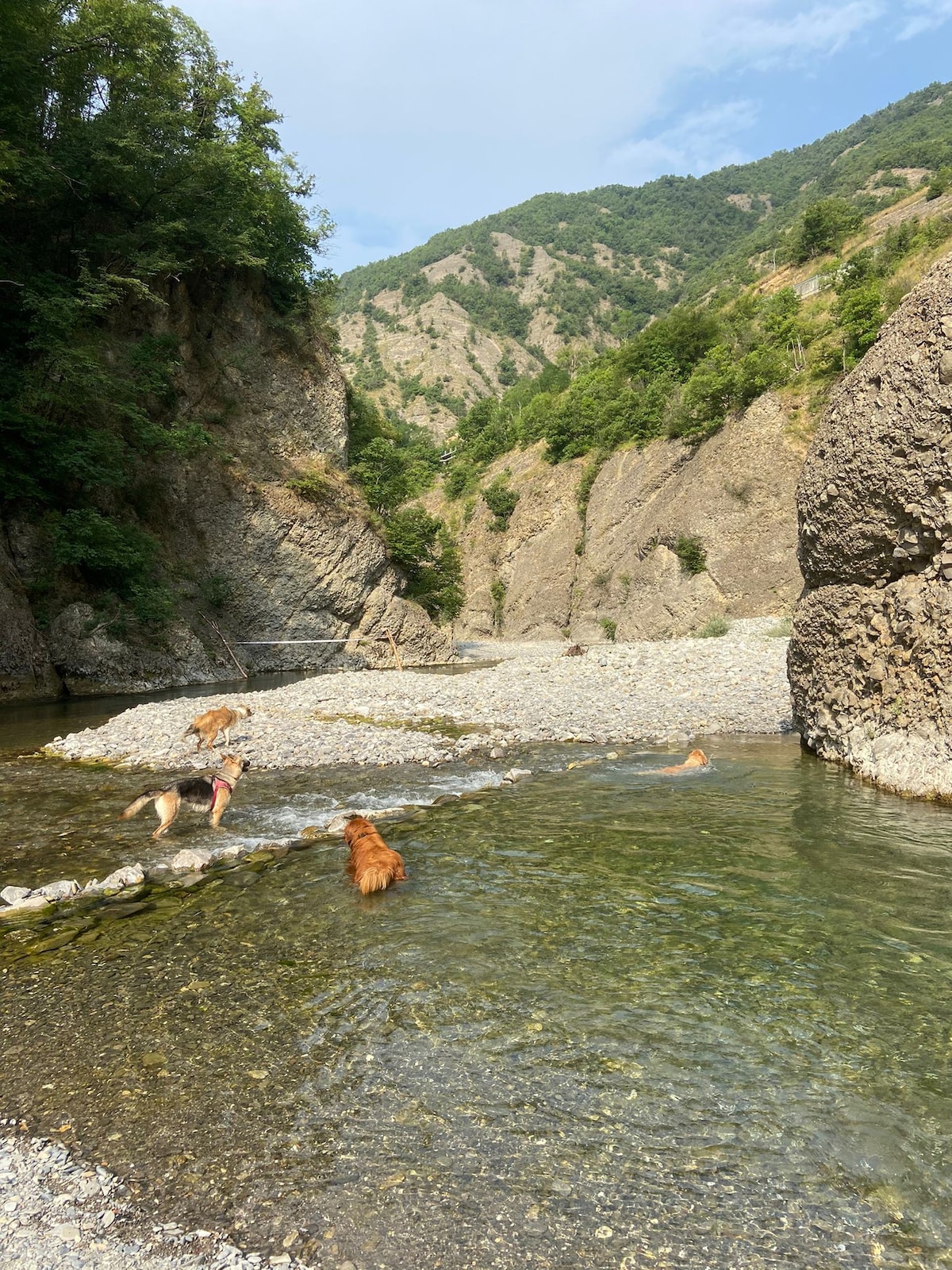 La Casa della Lavanda