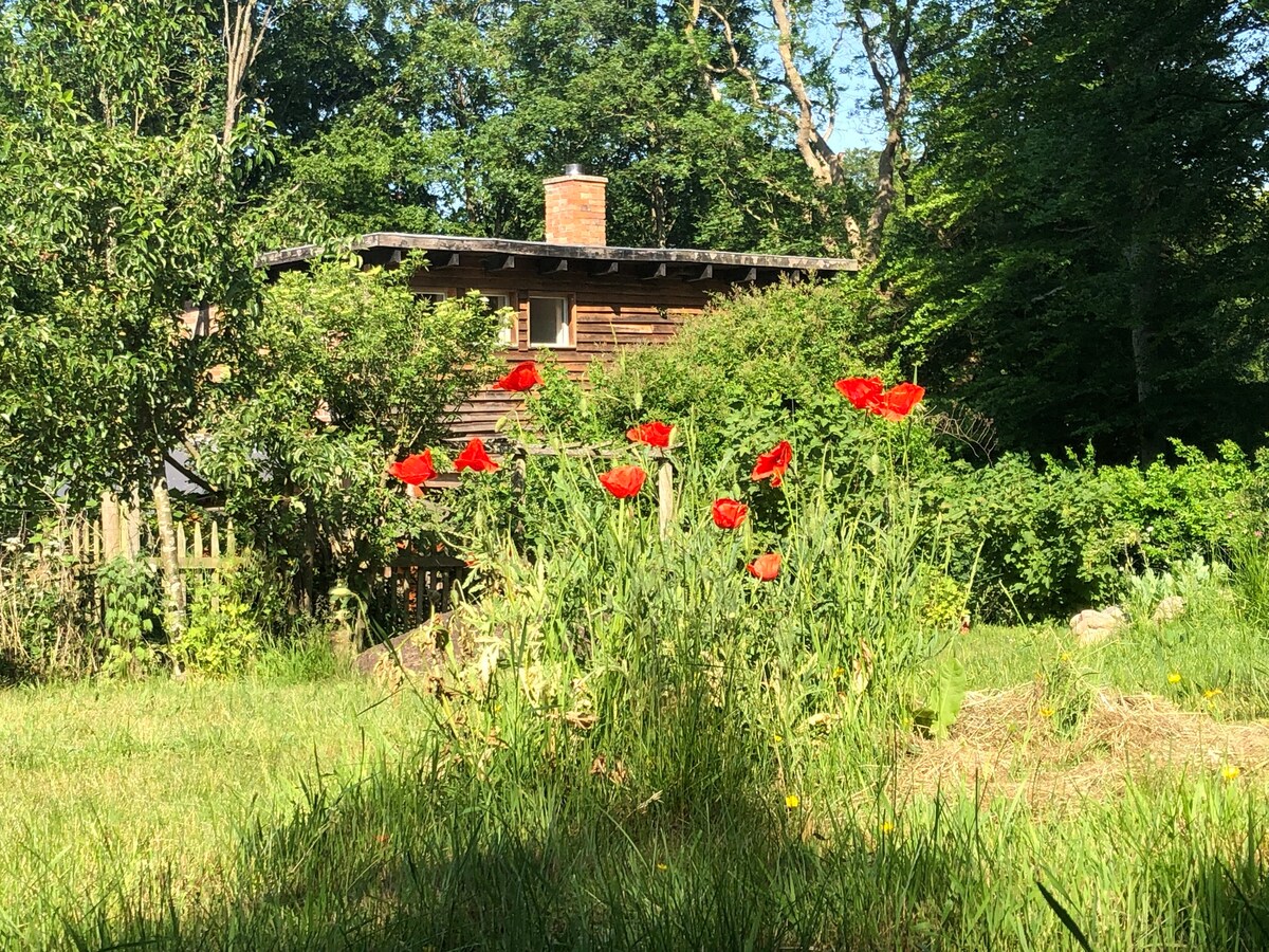 Ferienhaus am See