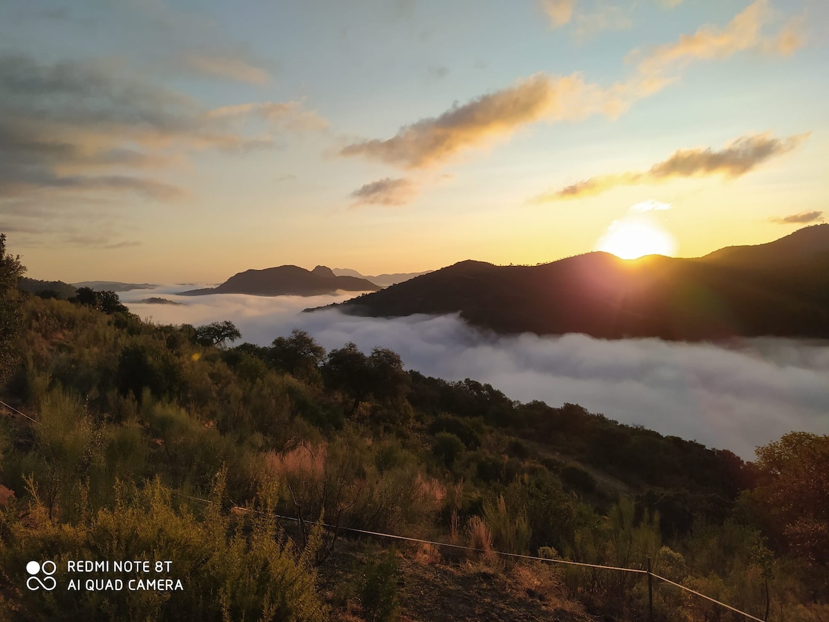 Finca Rural en Coripe