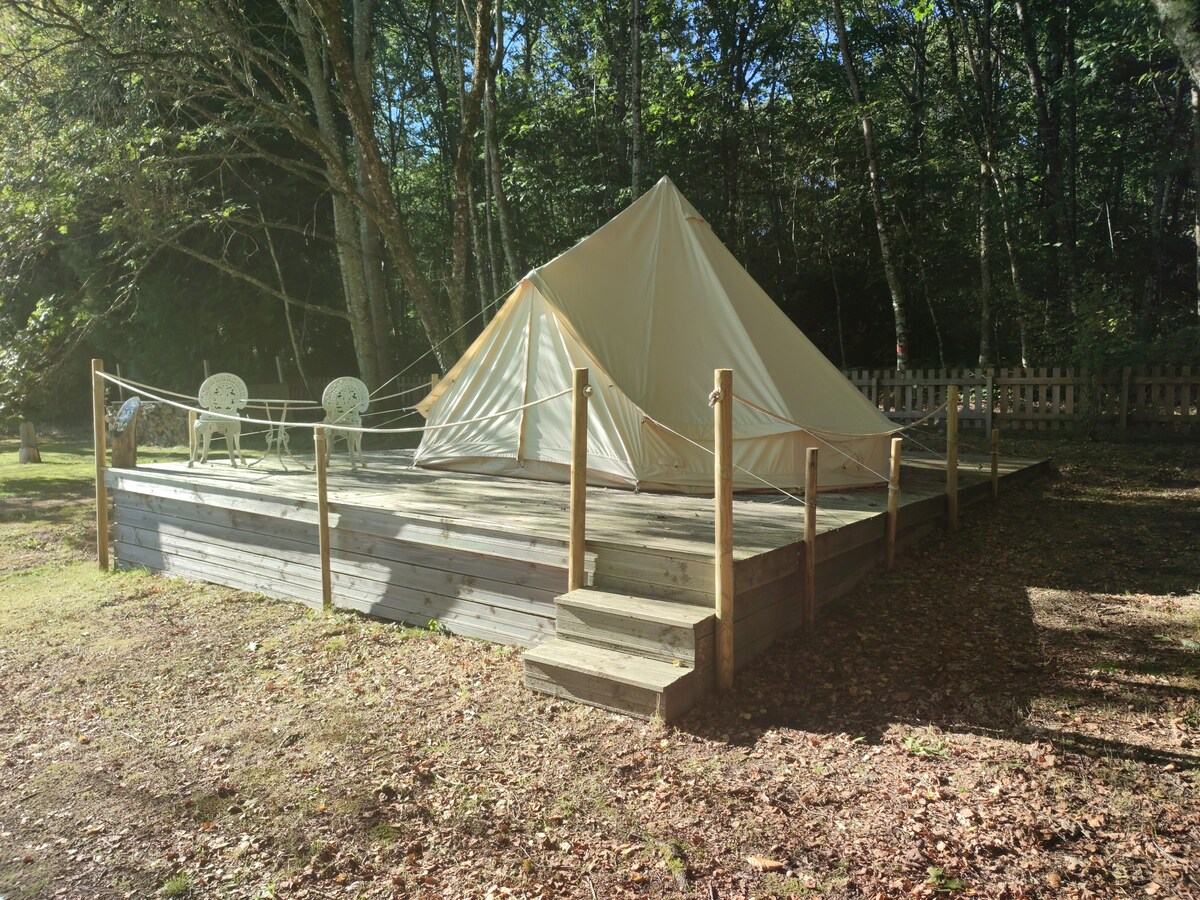 4x Bell tents - Apus, Grus, Lacerta and Pavo