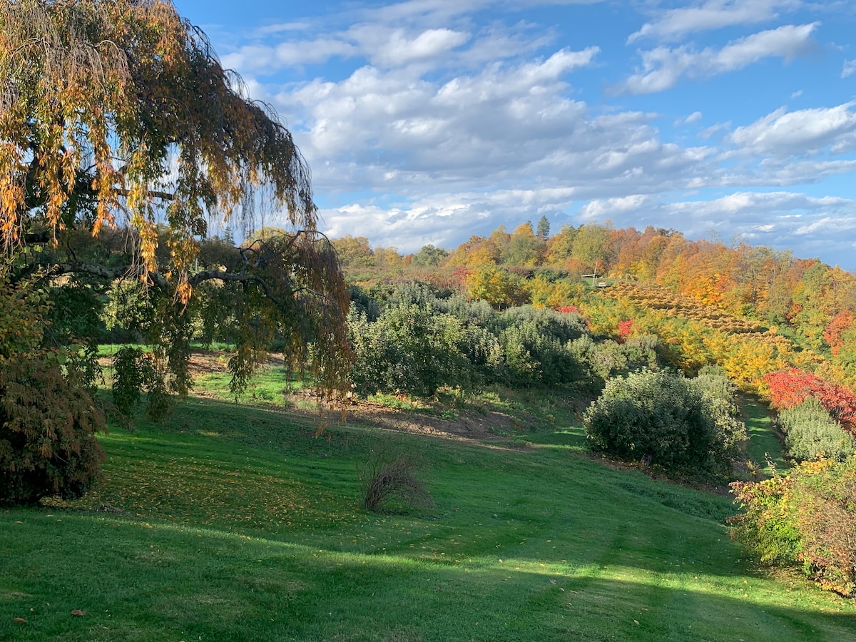 The Huron family fun and stunning views!