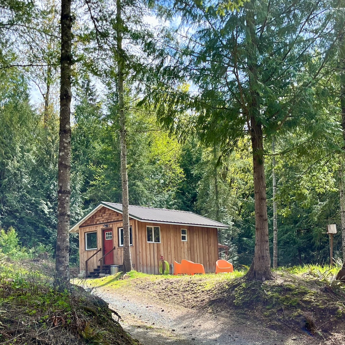 Backwoods Cabin - private woods for you to explore