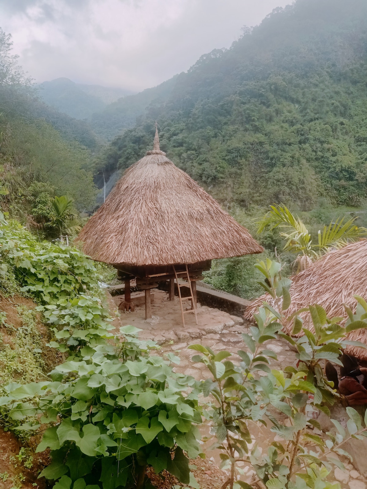 Agamang Traditional House Inn1