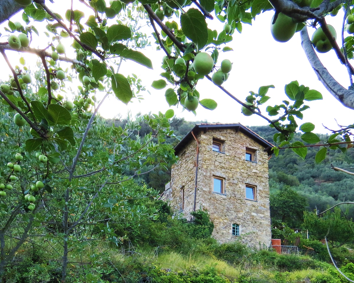 Casa rurale immersa nella natura