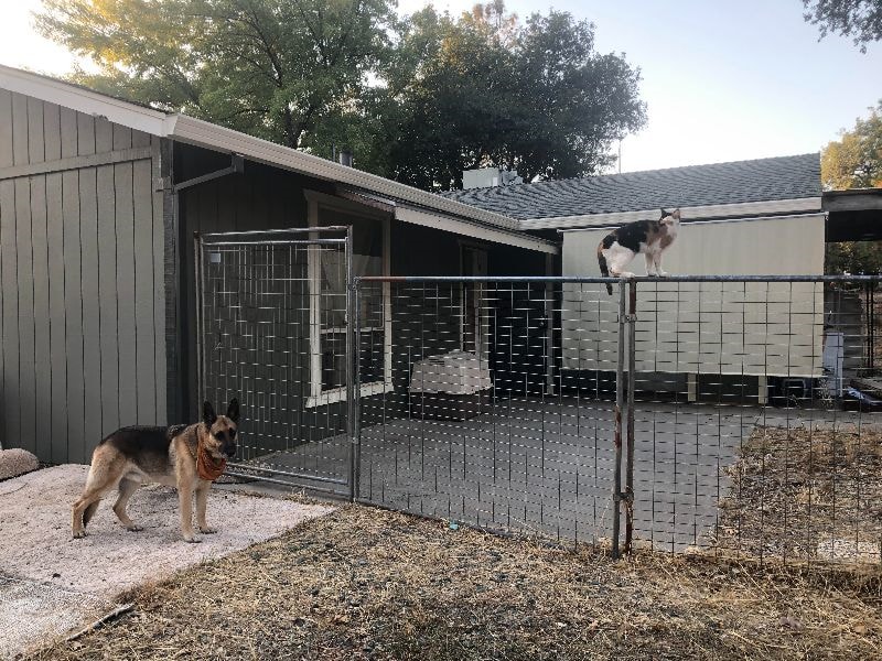 Gated home on 2 acres