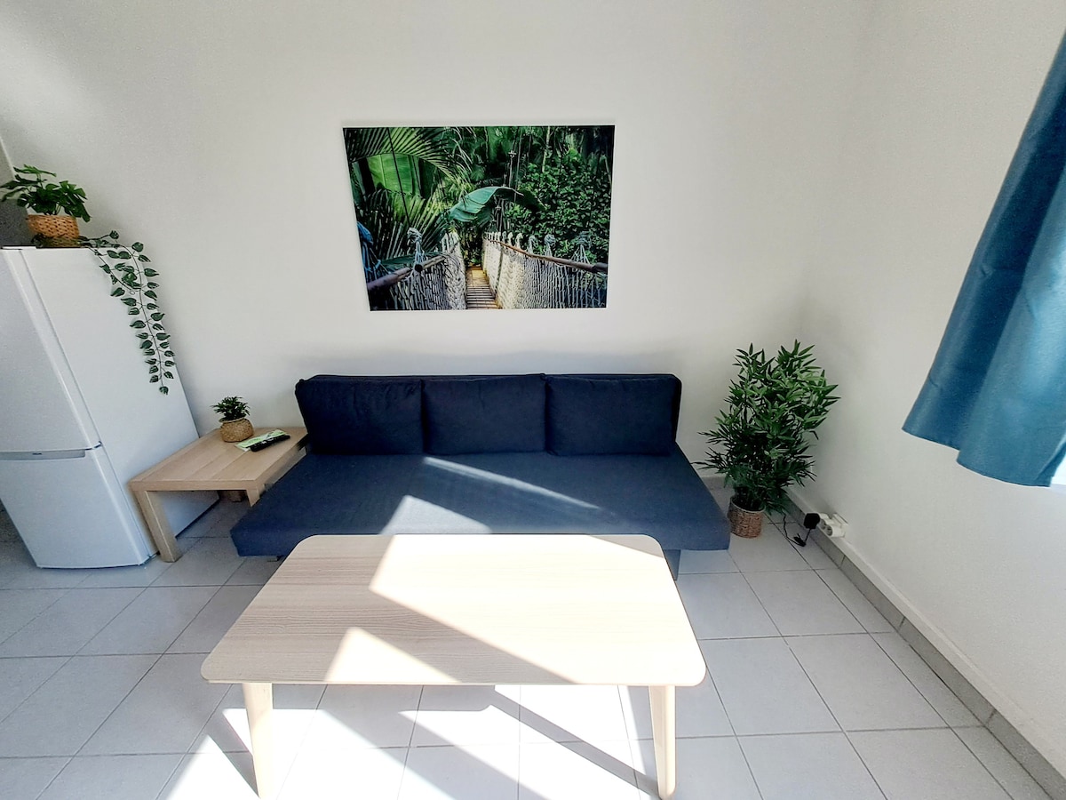 Escale Toulonnaise : Appartement Cosy