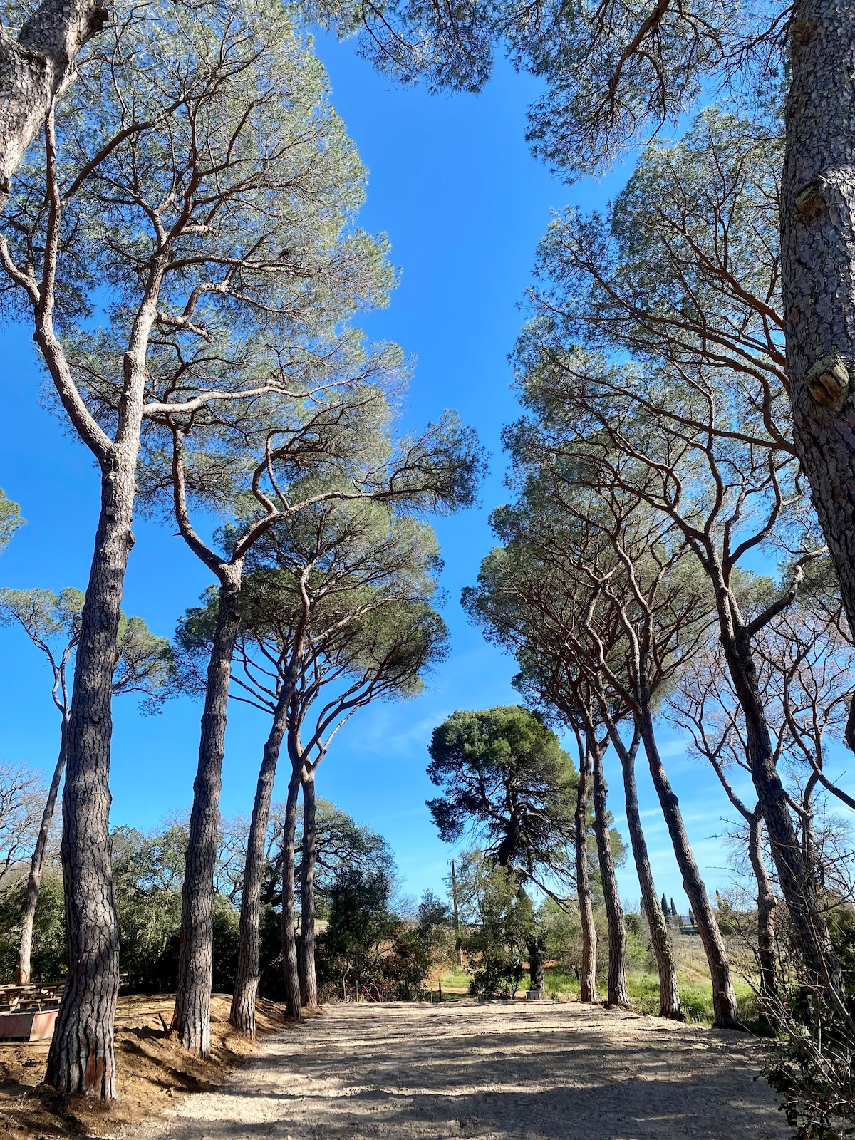 La Cheminée, gîte à Pézenas